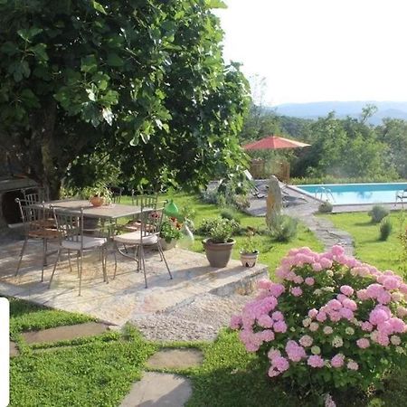 Holiday Home Mavrici Buzet Dış mekan fotoğraf