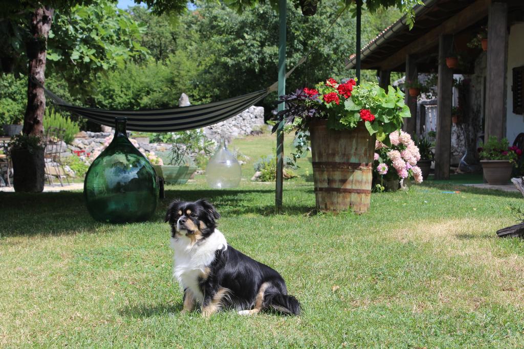 Holiday Home Mavrici Buzet Dış mekan fotoğraf