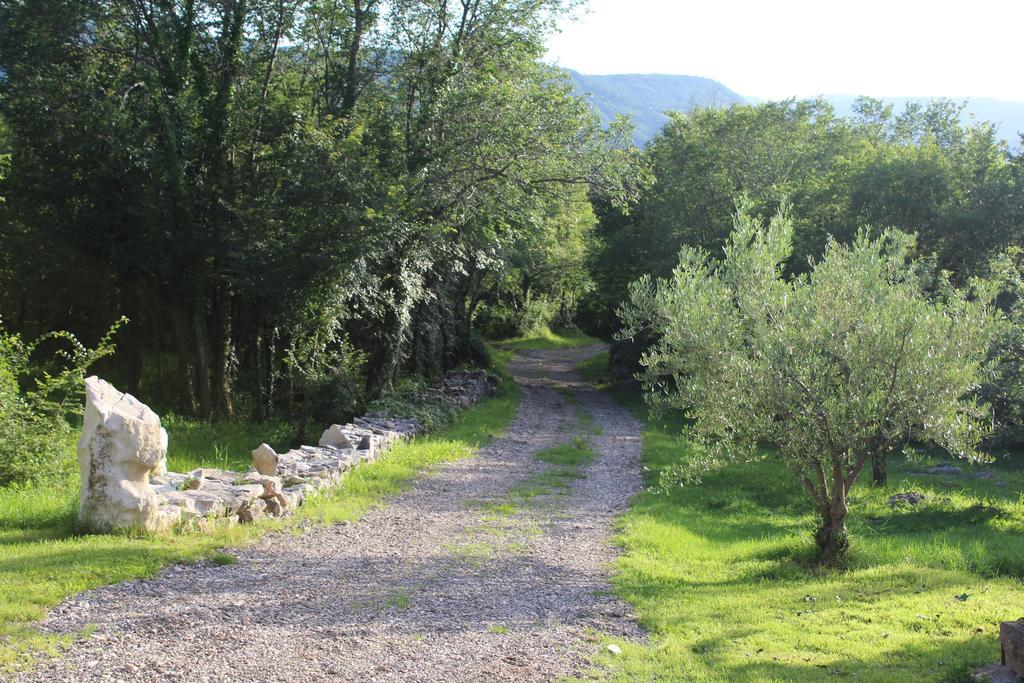 Holiday Home Mavrici Buzet Dış mekan fotoğraf