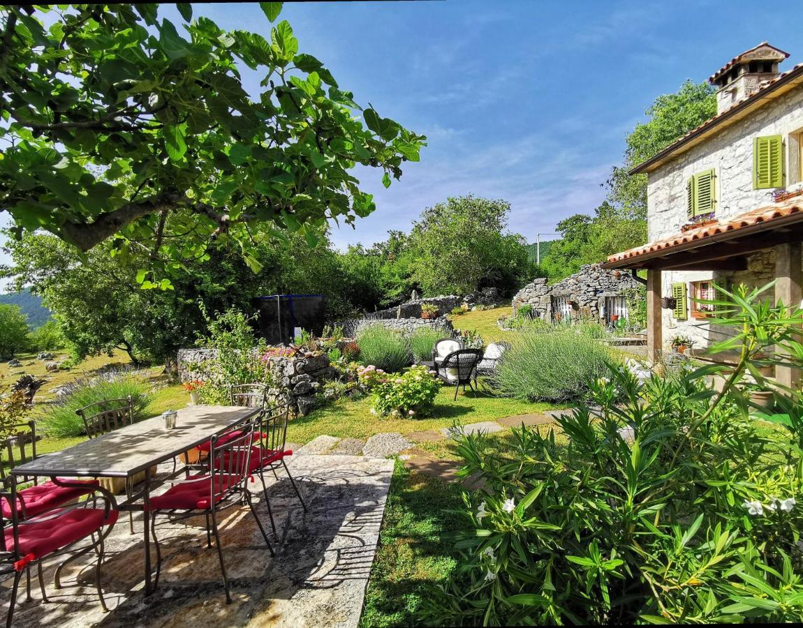 Holiday Home Mavrici Buzet Dış mekan fotoğraf